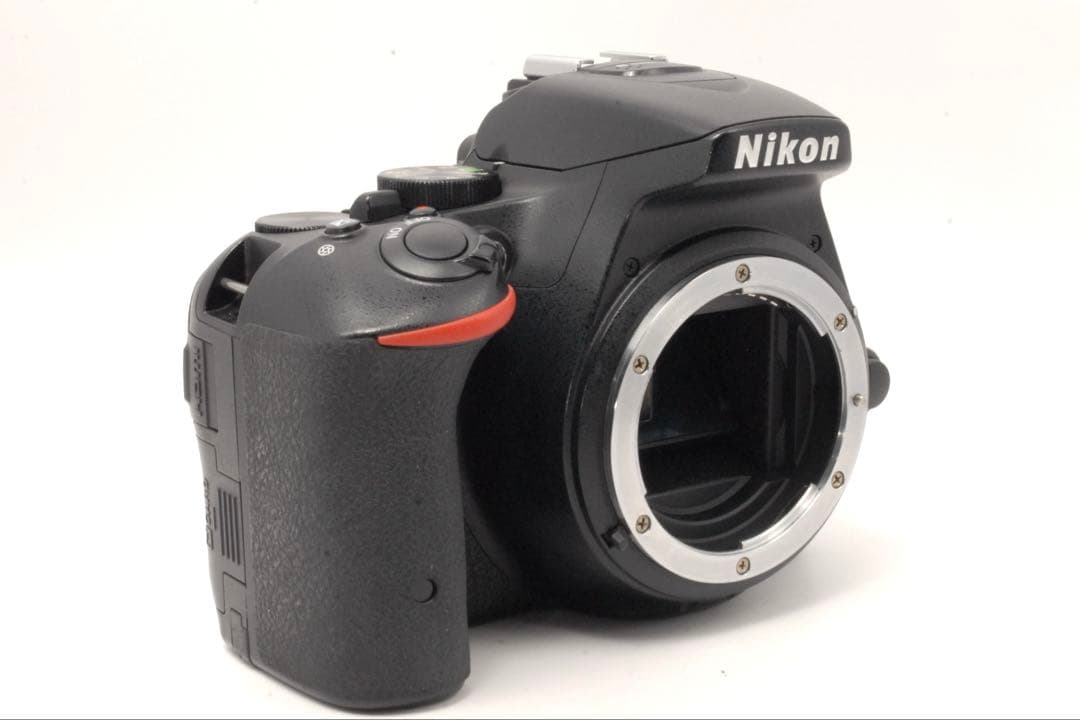 ✨美品✨Nikon D5500 初心者おすすめ 動作OK 一眼レフ 卒業 入学