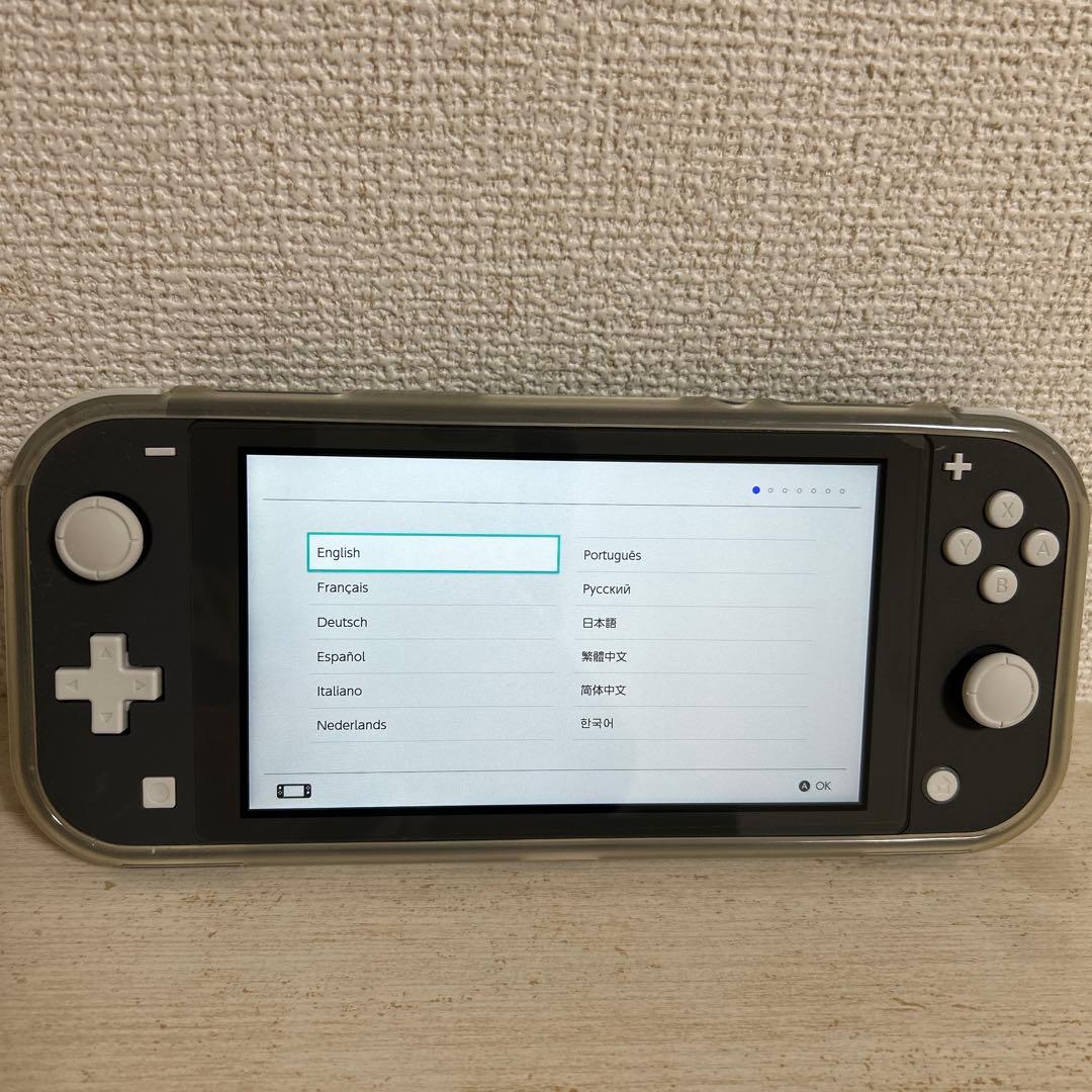 Nintendo Switch Lite(グレー)ピクミン1+2 まとめ売り