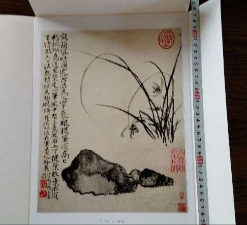 【中国水墨画壇巨匠石濤画集(冊頁)】中国絵画史の最高峰 飾り物、額装も出来ます