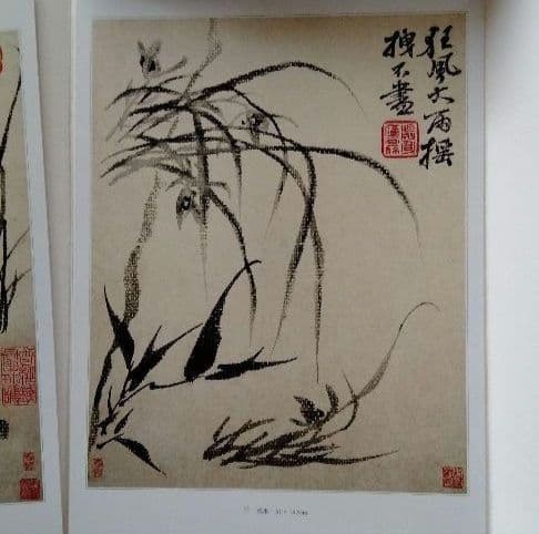 【中国水墨画壇巨匠石濤画集(冊頁)】中国絵画史の最高峰 飾り物、額装も出来ます