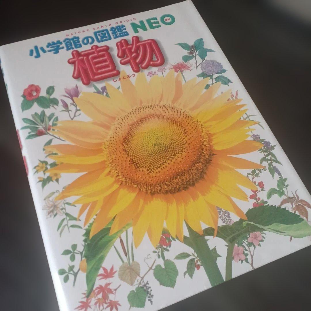 くらべる図鑑セット