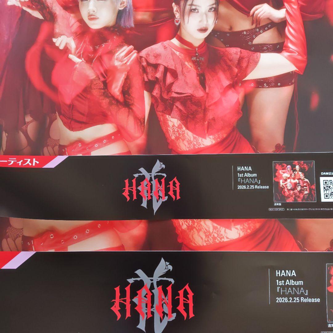 HANA1stAlbumポスター2枚組