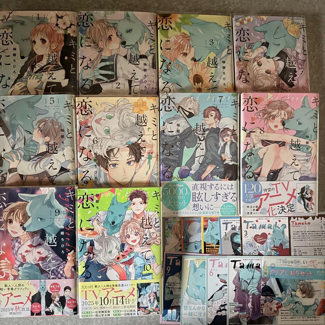 キミと越えて恋になる 柚樹ちひろ 1巻〜10巻 全巻　セット 集英社 初版
