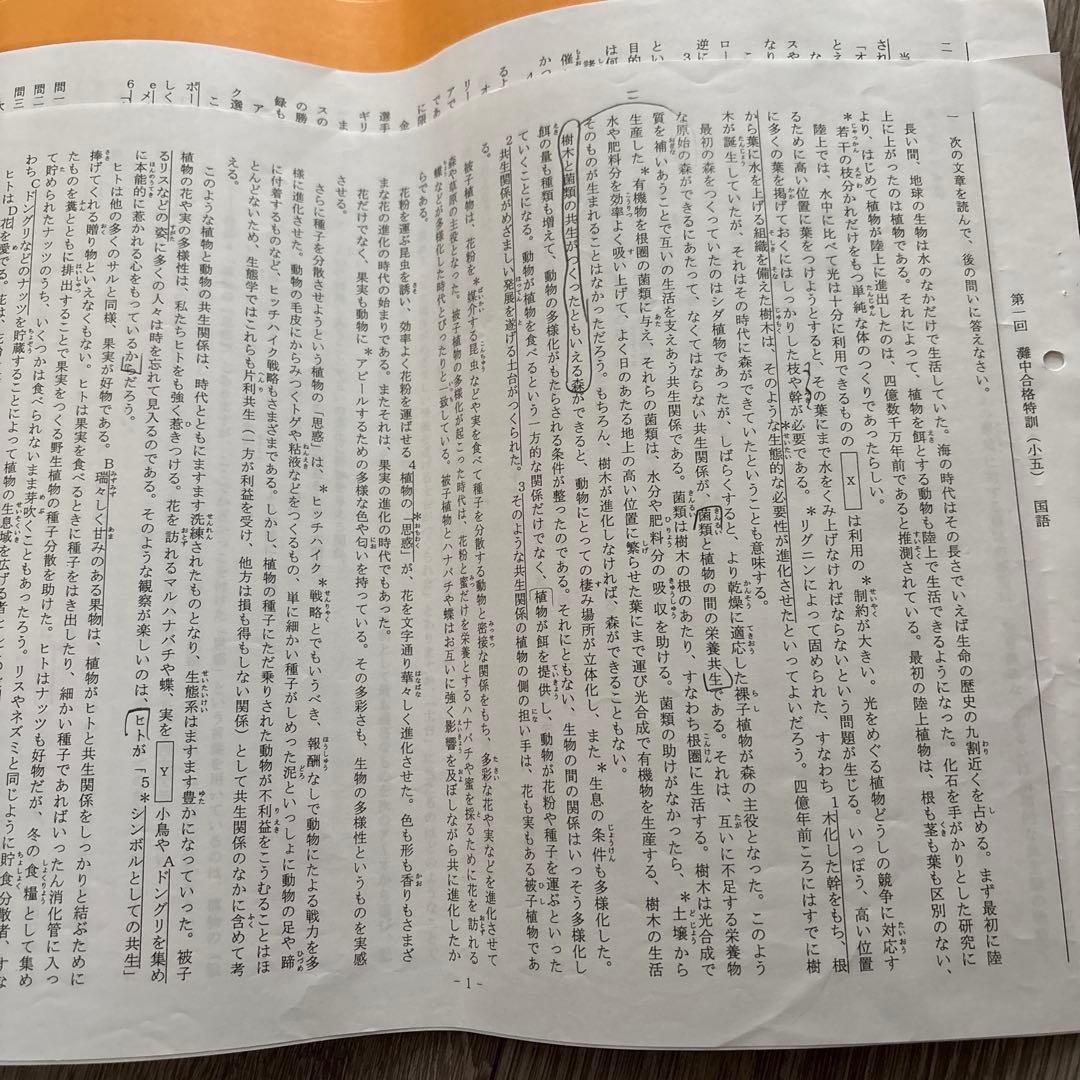 小5 難中合格特訓 国語 1回〜12回