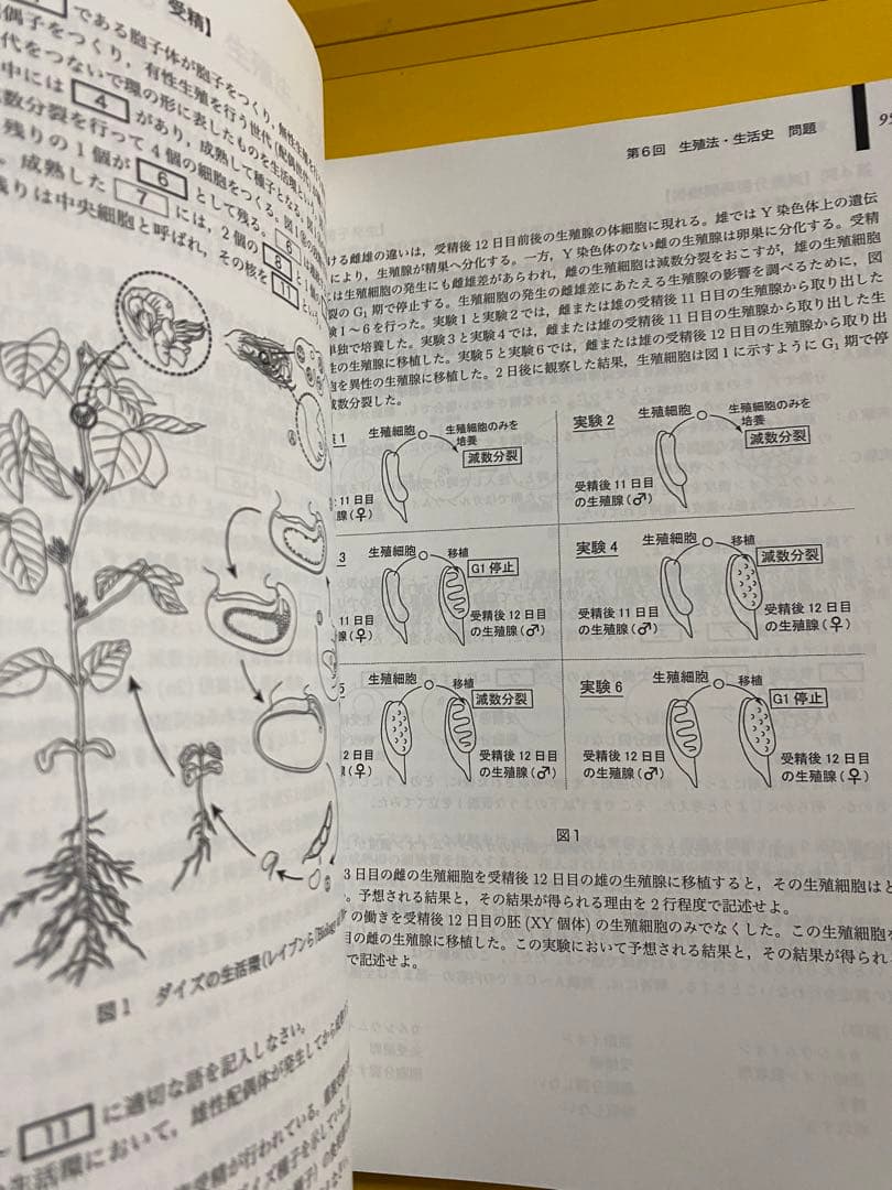 鉄緑会　生物発展講座 問題集　美品