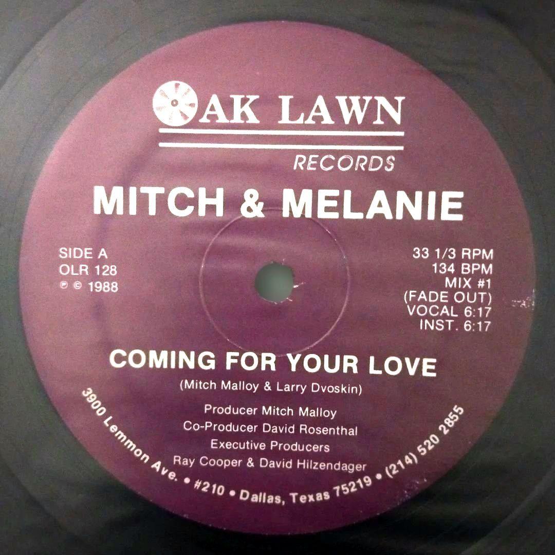 Mitch & Melanie-Coming for Your Love レア