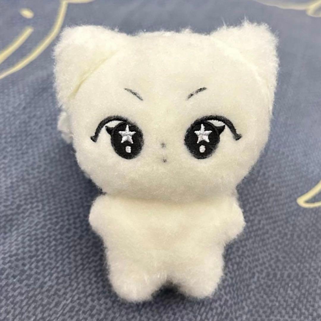 enhypen ジョンウォン　10cm ぬいぐるみ　新品　マスター