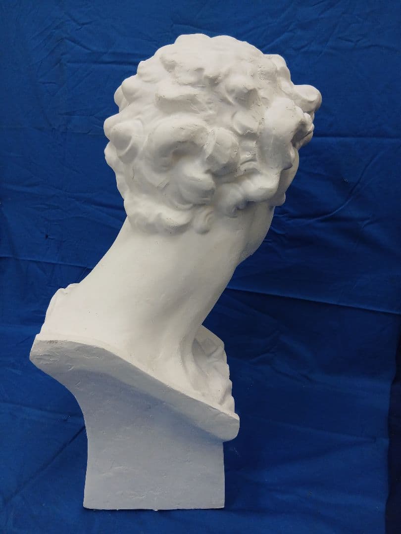 メディチ石膏首像　高さ60cm