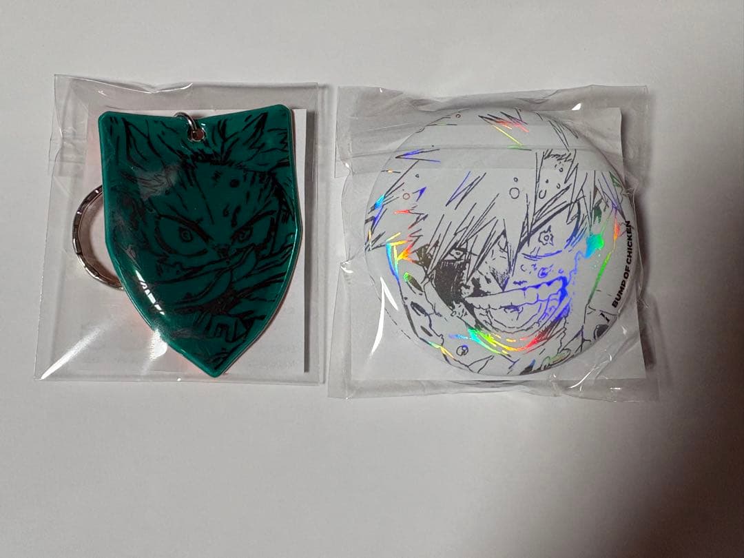 BUMP OF CHICKEN I ヒロアカ　CD TOY'S STORE