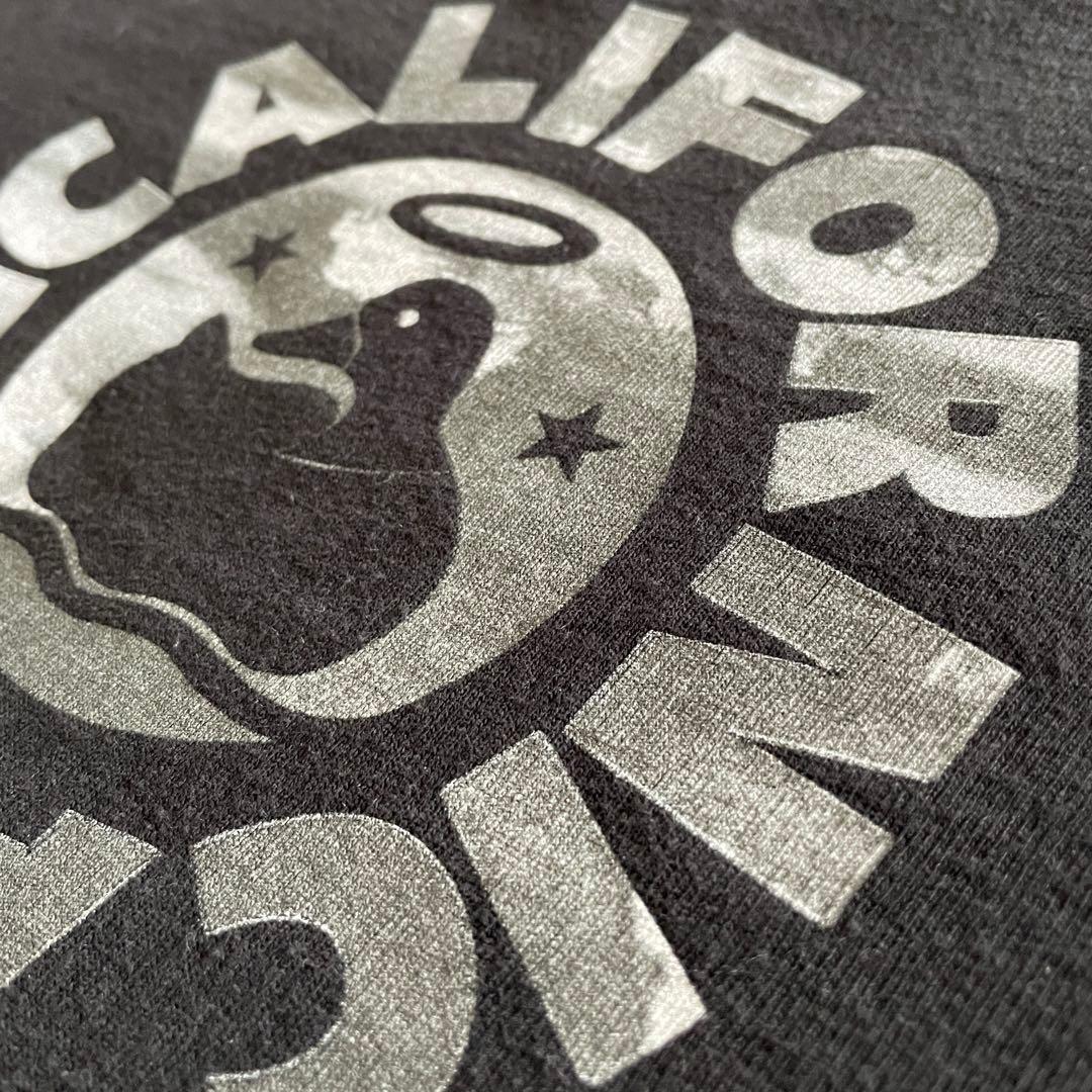 【※美品】 レッチリCalifornication 99年 オフィシャルTシャツ