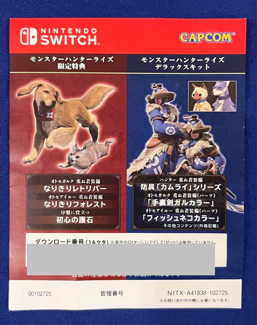 Nintendo Switch モンスターハンターライズ特別版