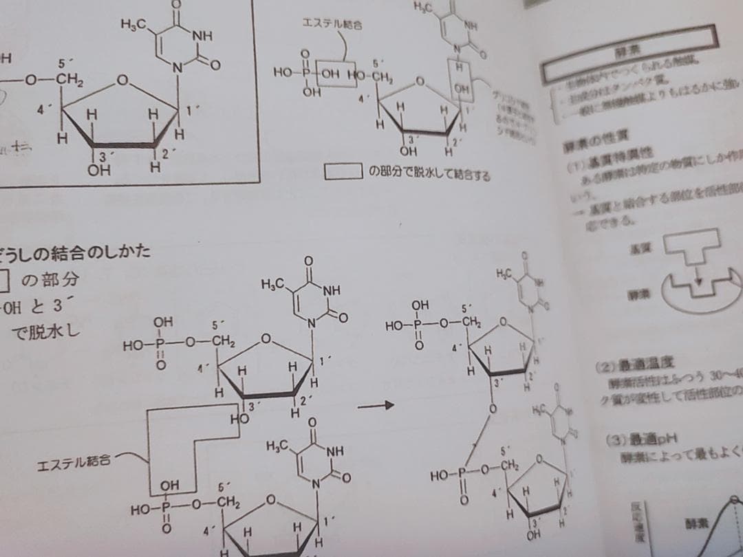 駿台　景安聖士先生　化学講義プリント　有機化学+α　上位クラス 　鉄緑会　河合塾