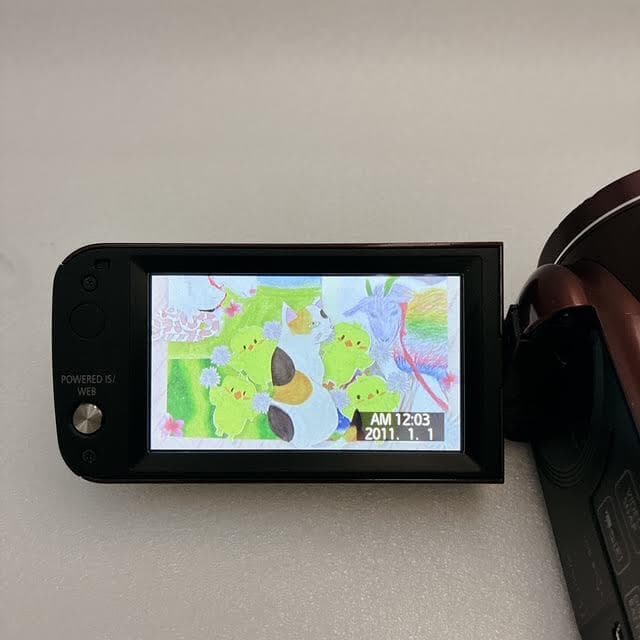 【美品】Canon デジタルビデオカメラ iVIS HF M41 32GB