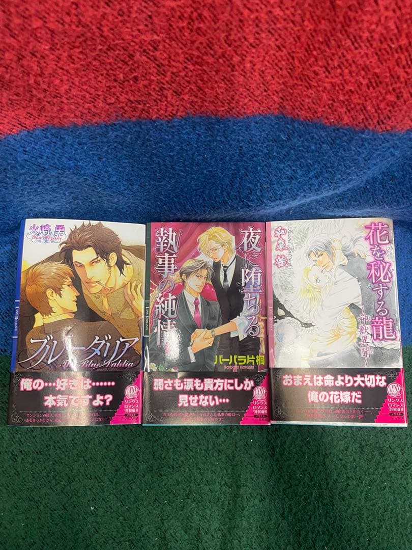 BL小説 ライトノベル まとめ売り 14冊セット 特典付きあり