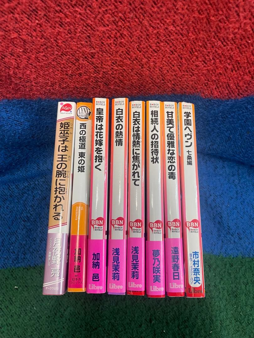 BL小説 ライトノベル まとめ売り 14冊セット 特典付きあり