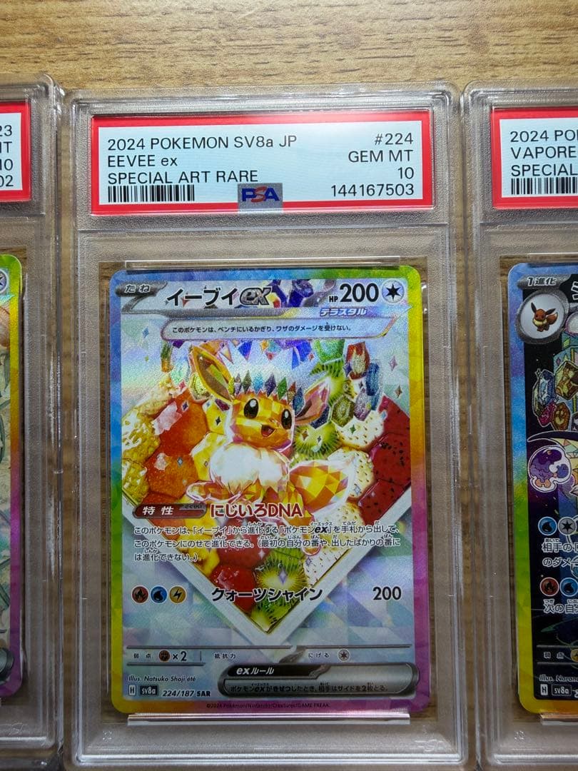 新 PSAケース PSA10 10枚ex ブイズSAR PSA10セット