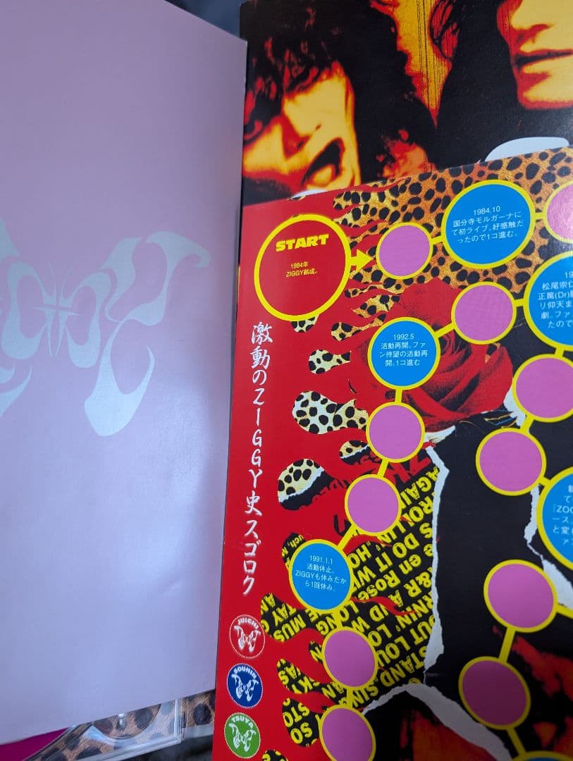 ZIGGY VICISSITUDES OF FORTUNE　豪華盤 森重樹一