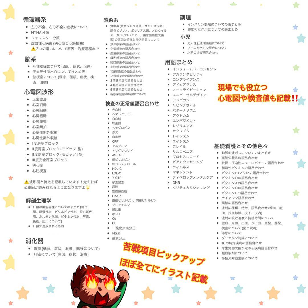 激安‼️ 看護師国家試験まとめノート 付箋ノート 国試 解剖生理学 看護学生