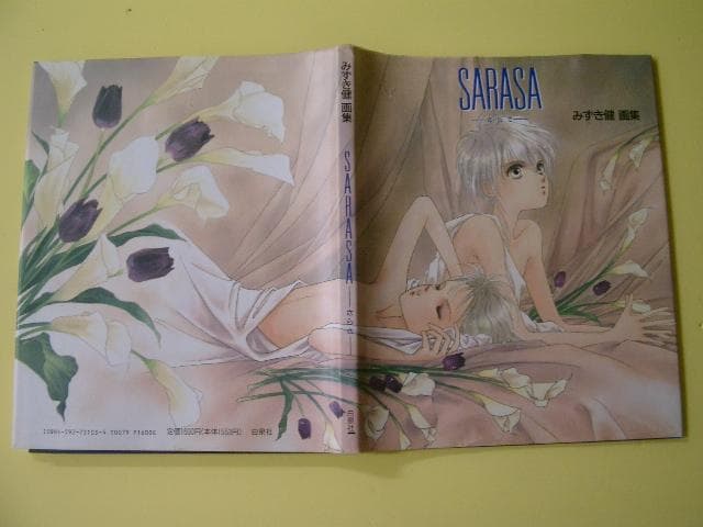 SARASA(さらさ)―みずき健画集
