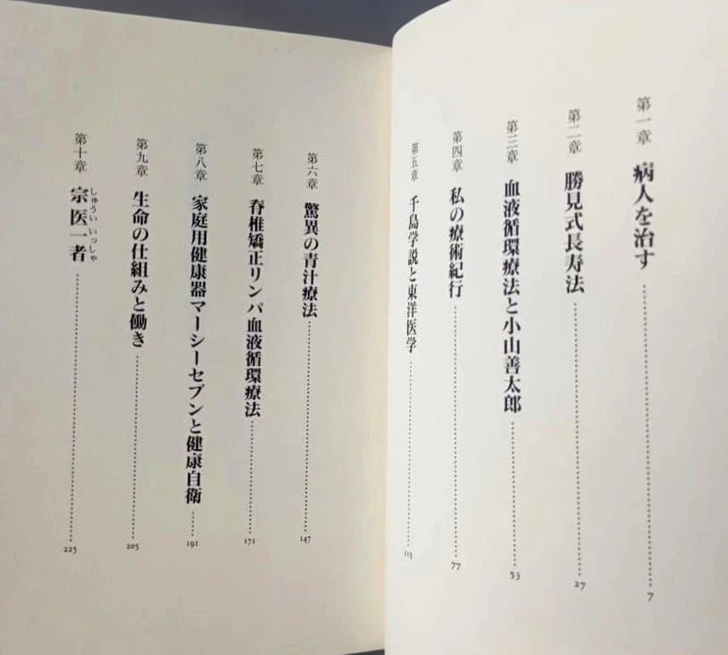 血液循環療法で治る: 自然治癒力はつねに生命に志向する