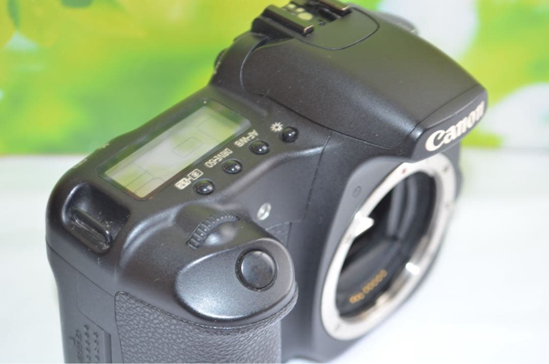 美品 Canon EOS 30D スマホ転送OK キャノン