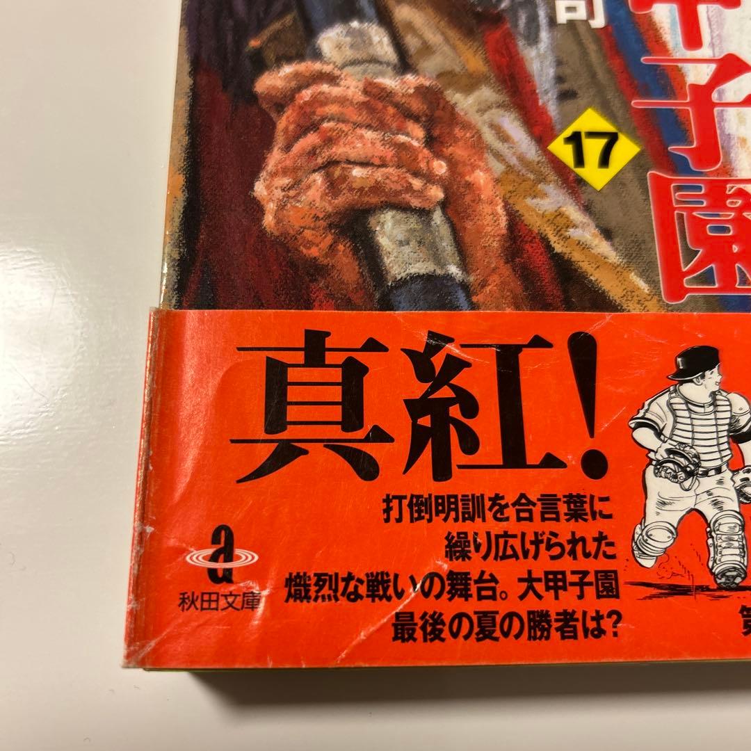 大甲子園 文庫版　全巻セット　1〜17 水島新司