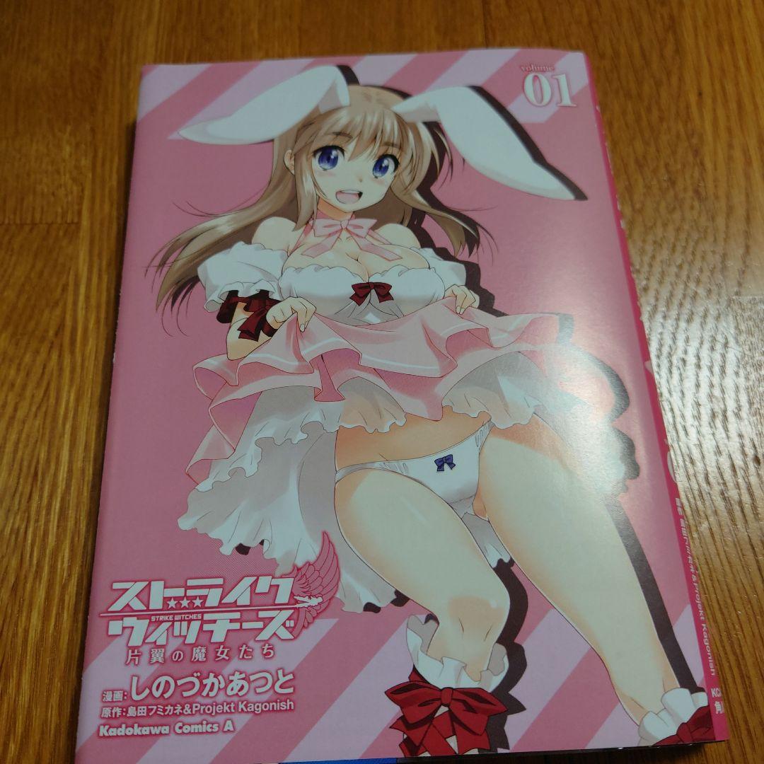 ストライクウィッチーズ片翼の魔女たち volume 1　限定特典カバー付き