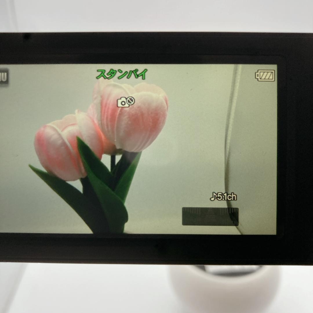 実写有【美品】SONY ビデオカメラ HDR-CX480 新品バッテリー付 茶色
