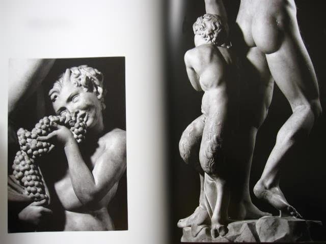Michelangelo. Complete Works　ミケランジェロ