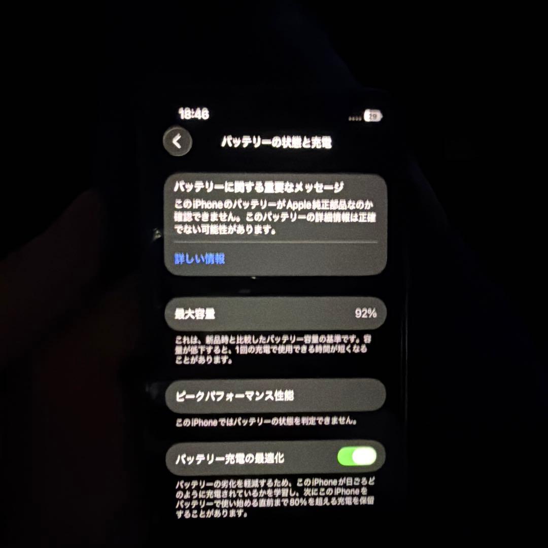 Apple iPhone 13Pro 1.02TB (キャリア制限無し)特価‼️