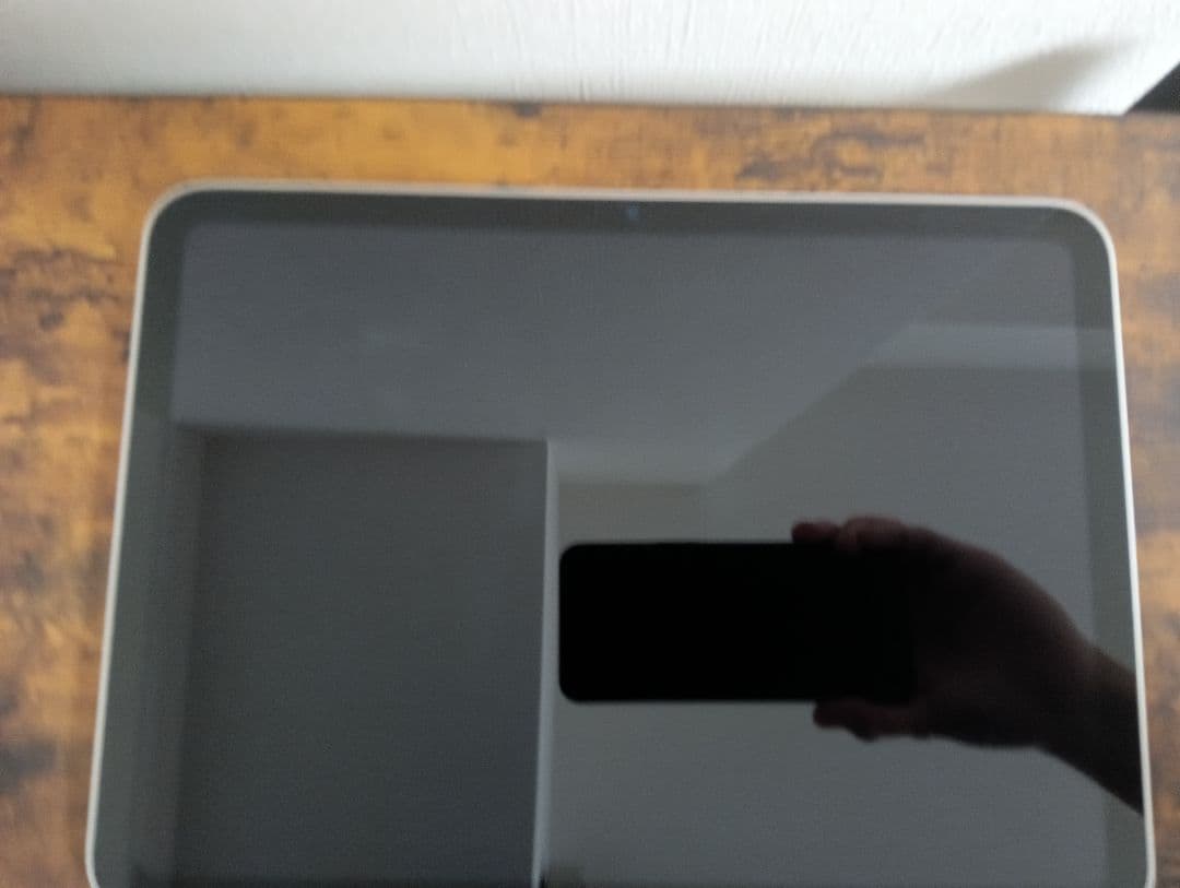 Apple iPad 第10世代 10.9インチ Wi-Fiモデル256GB