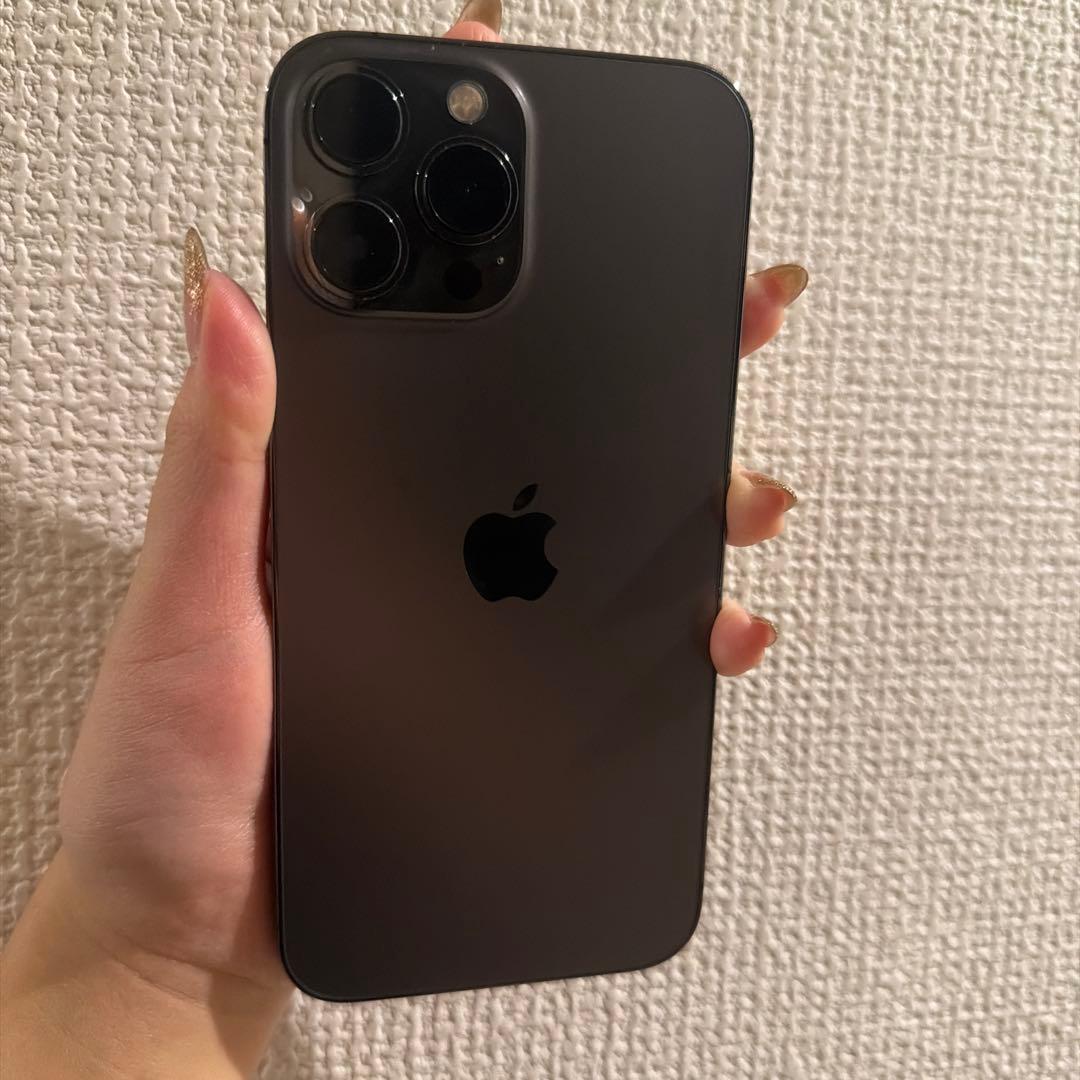 Apple iPhone 13 Pro maxグラファイト　256GB