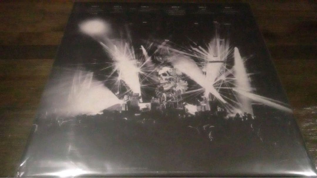 新品稀少3LP/The Birthday/GO WEST YOUNGMAN