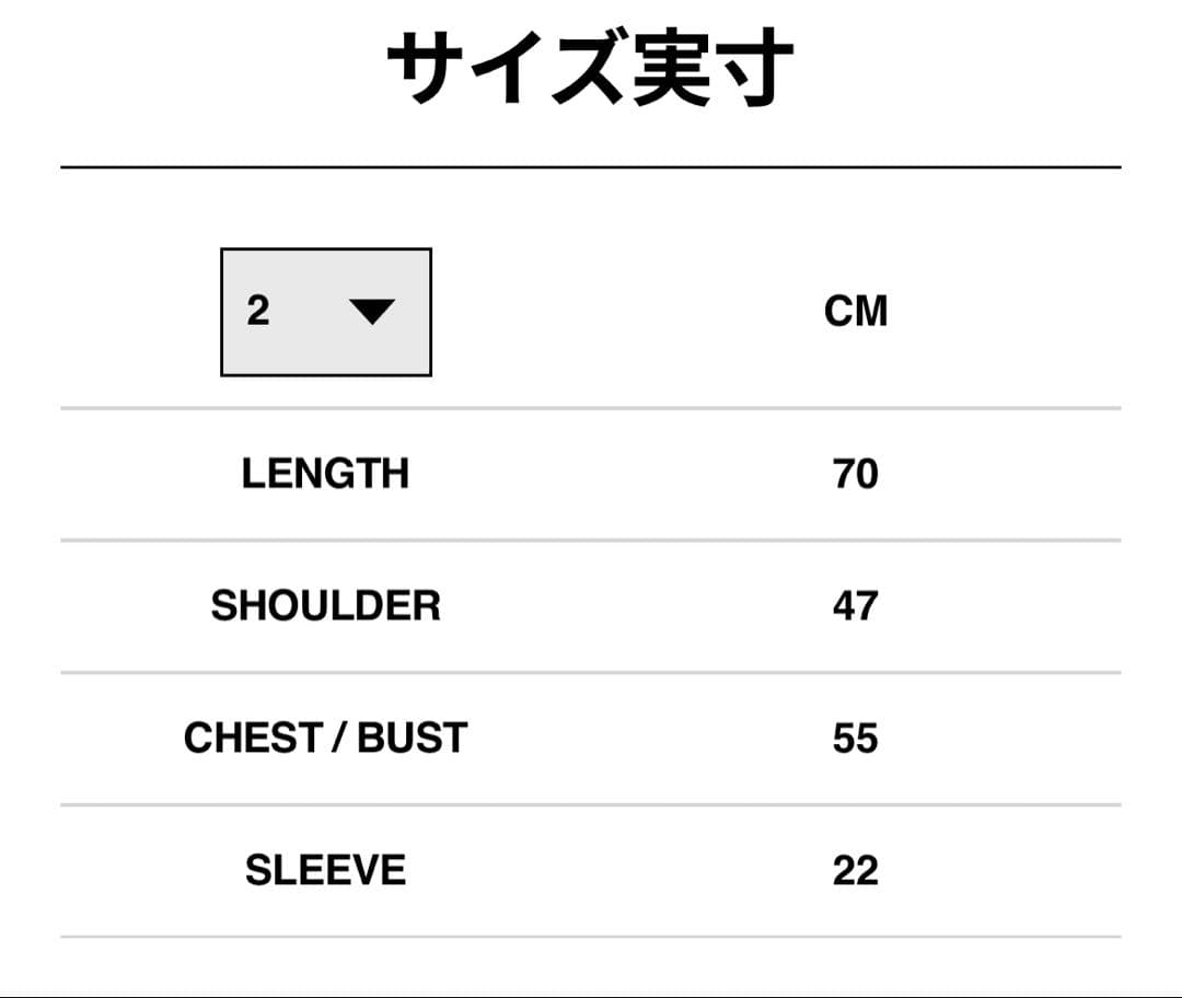 サカイ　アリーヤ　Tシャツ