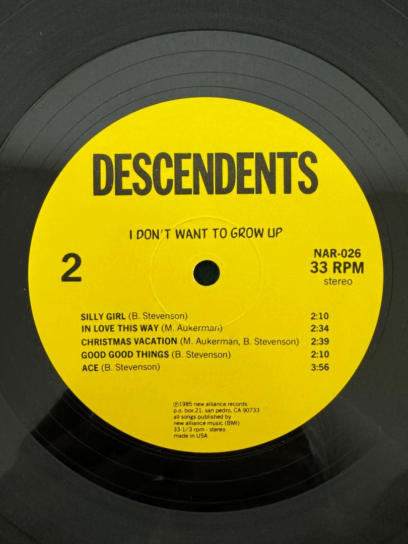 DESCENDENTS レコード