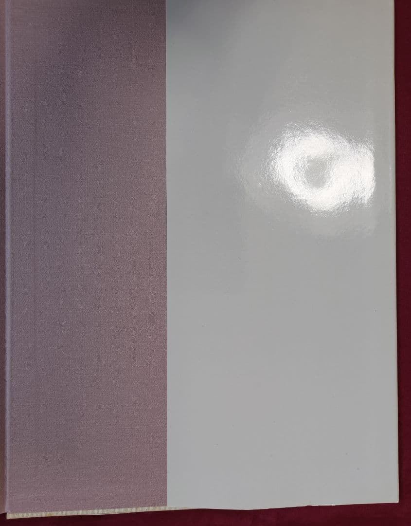 俳画 花鳥風月 藪本積穂 花の万博XOP'90俳画出展記念出版 秀作出版社