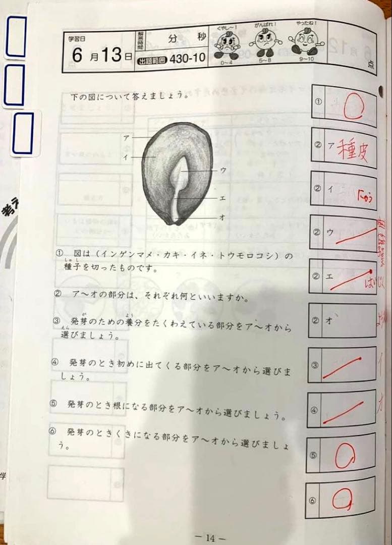 SAPIXサピックス 小学4年 理科 基礎力トレーニング 原本フルセット
