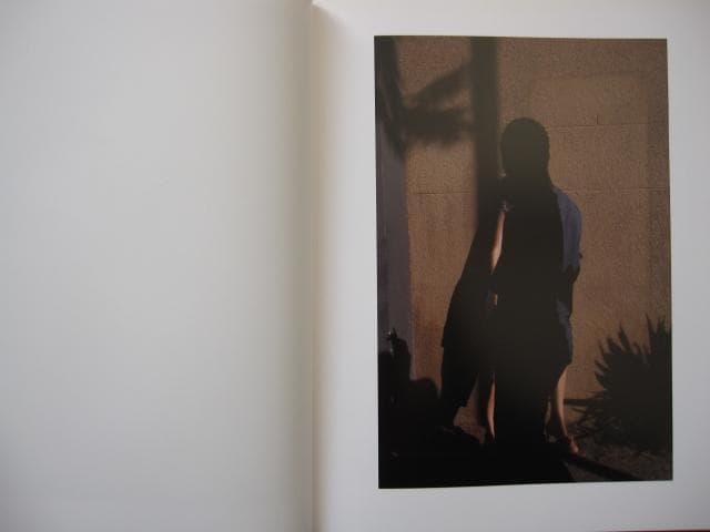LEXICON　Viviane Sassen　ヴィヴィアン・サッセン　限定