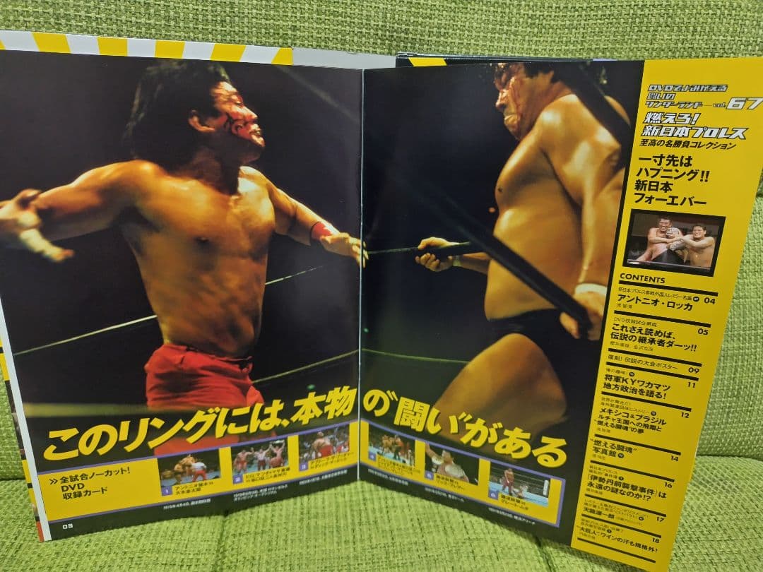 燃えろ！新日本プロレス vol.34 vol.67