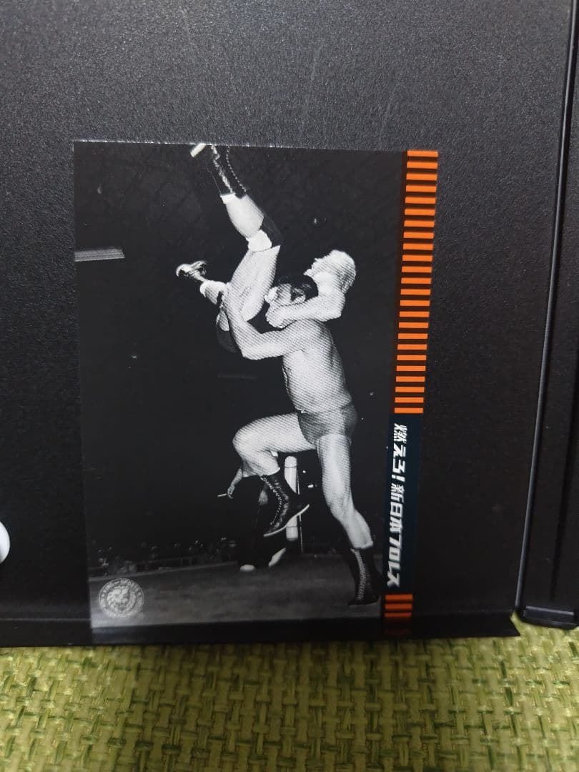 燃えろ！新日本プロレス vol.34 vol.67