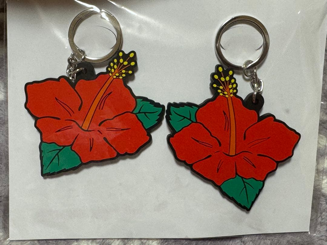HANAHANA タンブラー＆ハイビスカス キーホルダーセット