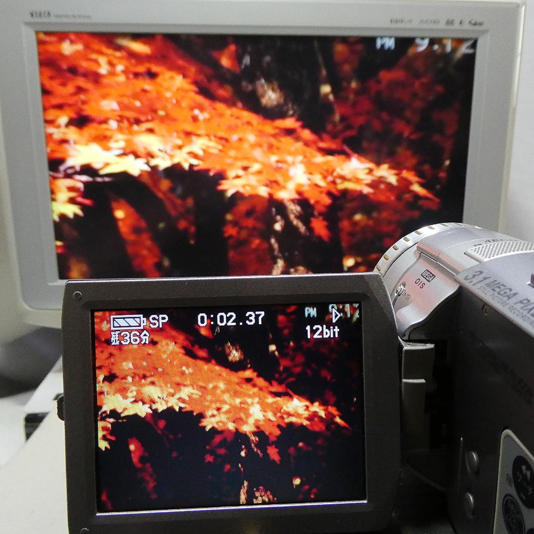 パナソニック NV-GS100 【動作良好】MiniDVビデオ　ダビングに最適