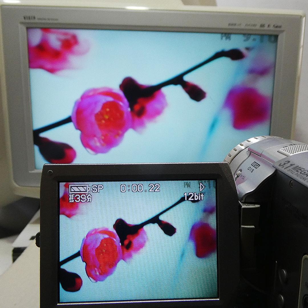 パナソニック NV-GS100 【動作良好】MiniDVビデオ　ダビングに最適