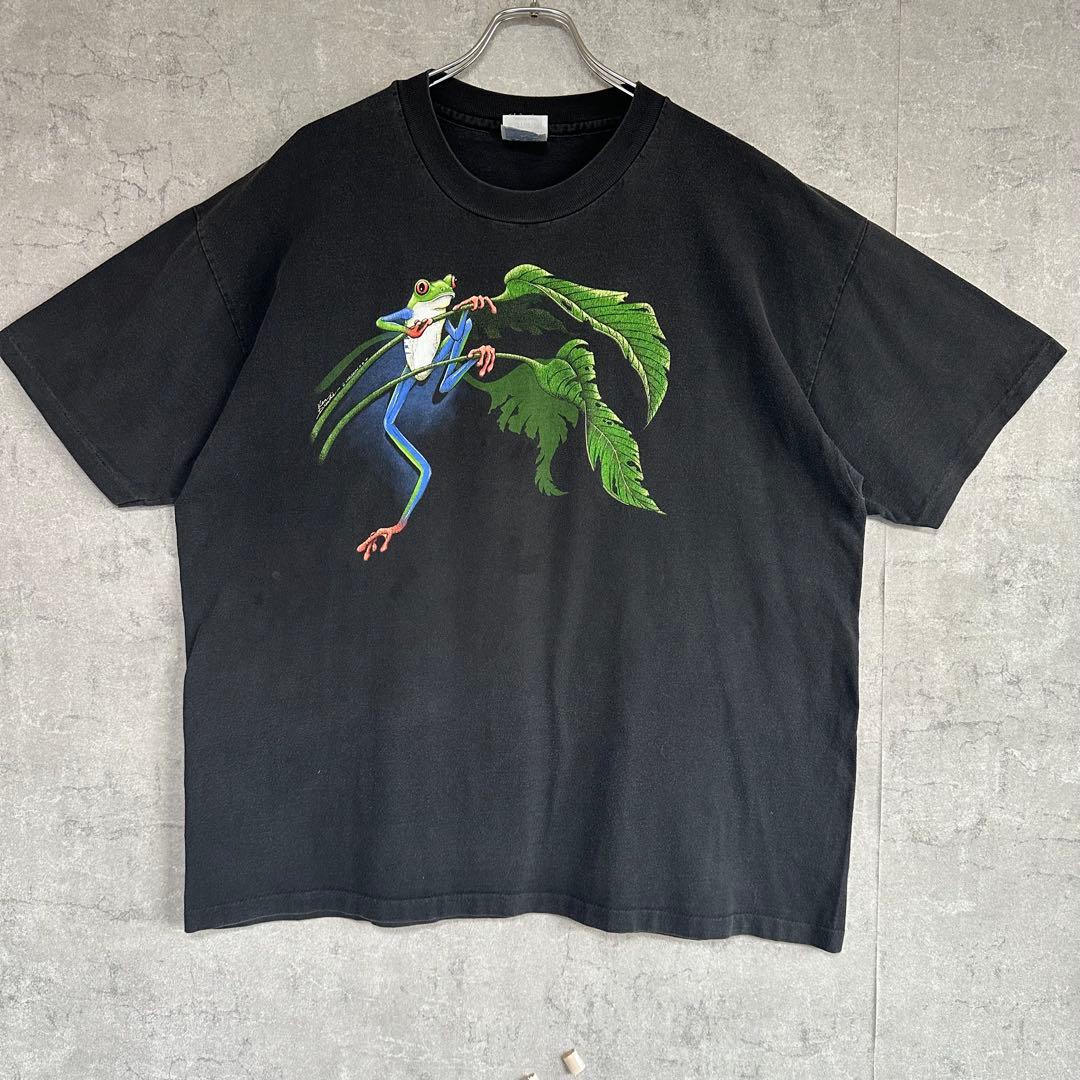 90s usa製　ヘインズ　アカメアマガエル シングルステッチXL