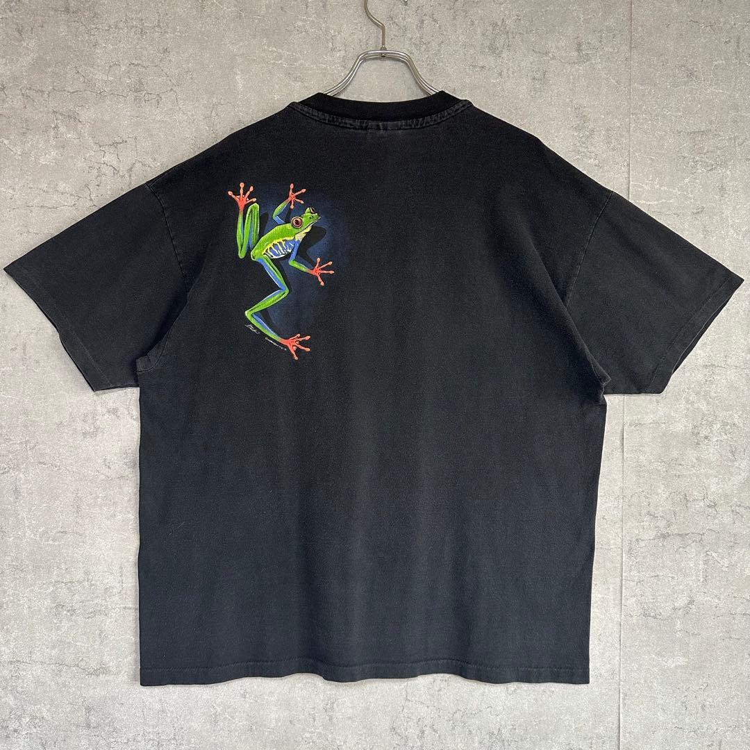 90s usa製　ヘインズ　アカメアマガエル シングルステッチXL