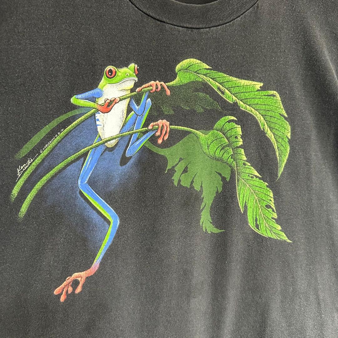 90s usa製　ヘインズ　アカメアマガエル シングルステッチXL