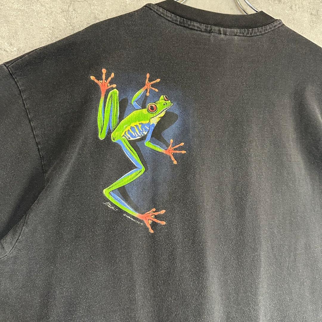 90s usa製　ヘインズ　アカメアマガエル シングルステッチXL