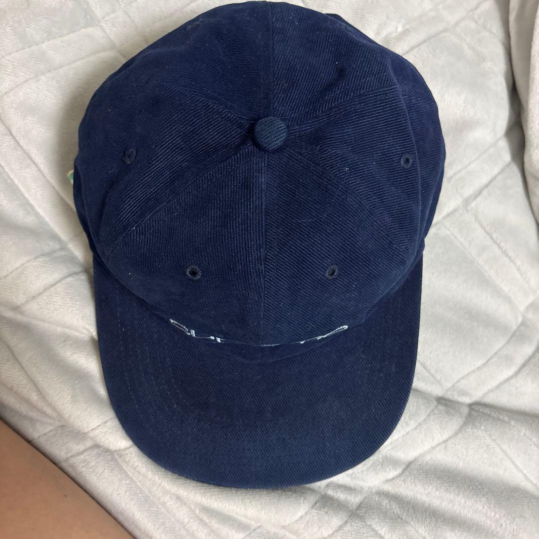 Supreme Classic Logo 6-Panel 18ssFuji着用