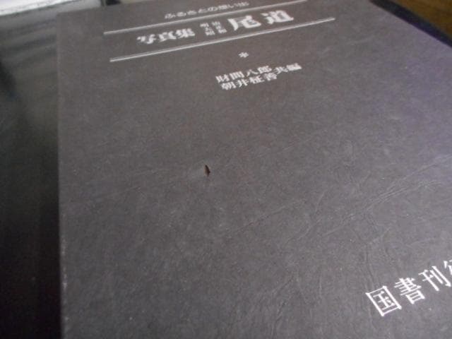 ふるさとの想い出17　写真集　明治・大正・昭和　尾道＊国書刊行会　　#画文堂
