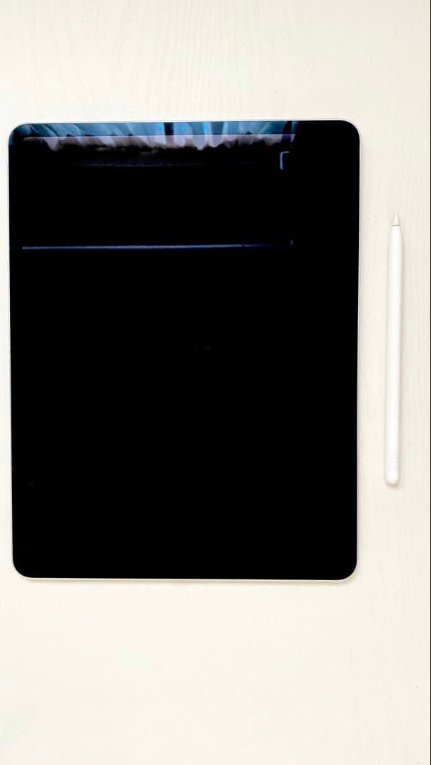 iPad Pro 12.9 第3世代 256GB + Apple Pencil2